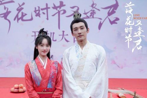 《落花时节又逢君》免费观看指南:经典IP改编的荧幕重逢