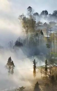 《紫雾山庄十大境界排名解析》