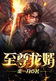 龙婿至尊：赘婿逆袭的传奇之路