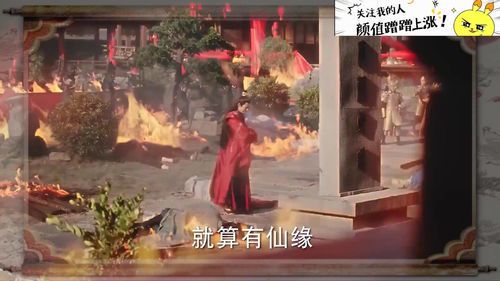 **落花时节又逢君:终章之约**