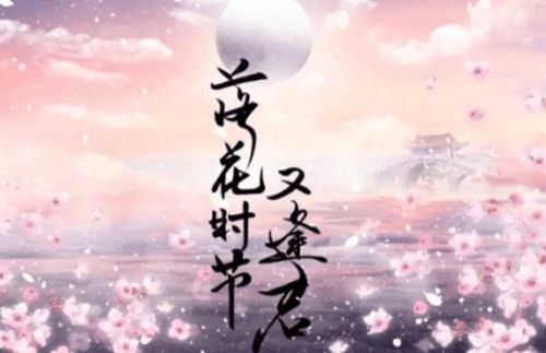 落花时节又逢君:一场诗意的重逢