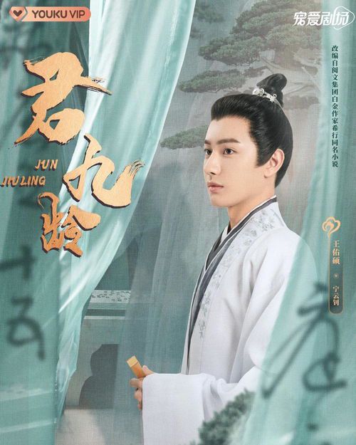 《君有云》电视剧：武侠新篇章的探索与思考
