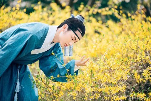 落花时节又逢君·旧梦新篇