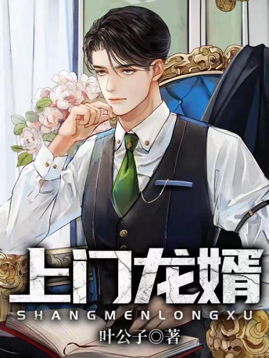 龙医神婿:绝世医圣的都市传奇