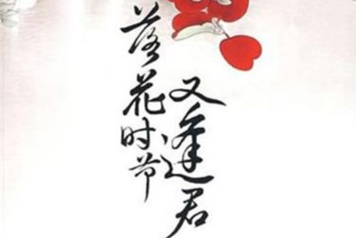 落花时节又逢君:剧集长度与经典重温