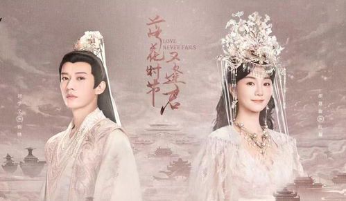 落花时节又逢君:播出时间与期待