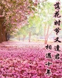 落花时节又逢君——诗中的季节之谜