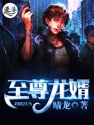龙婿至尊:绝世强者的都市传奇