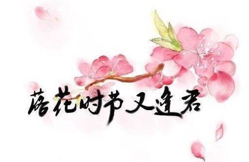 落花时节又逢君的深意