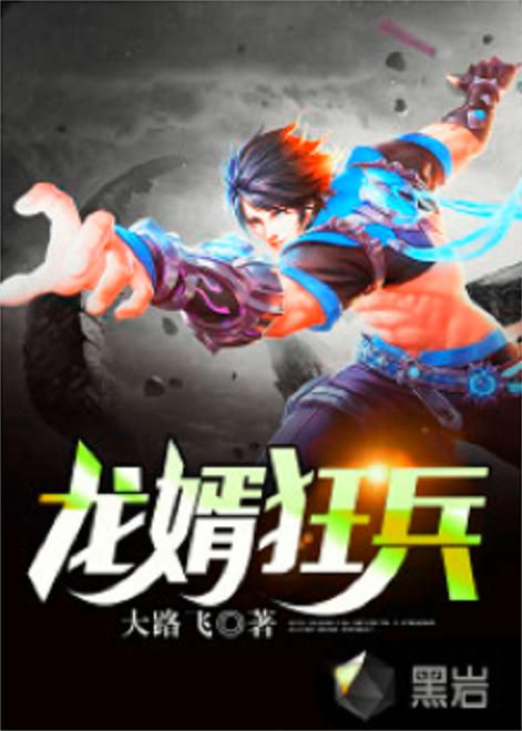 龙婿狂医:绝世医术与豪门风云