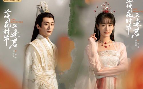 《落花时节又逢君》:古典美学与现代叙事的诗意重逢