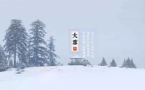 《龙刀风雪录：大雪满刃的江湖传奇》