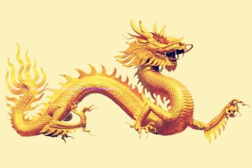龙吟虎啸对应的生肖解析
