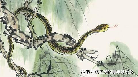 龙吟虎啸一时发，猜一生肖之谜