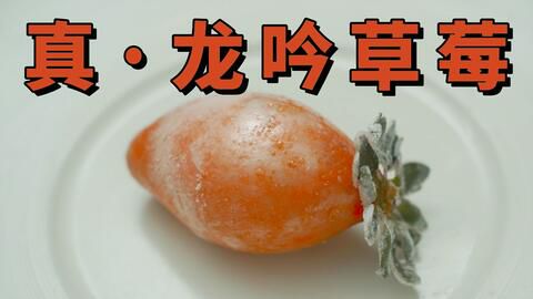 龙吟草莓：甜蜜与传奇的交织