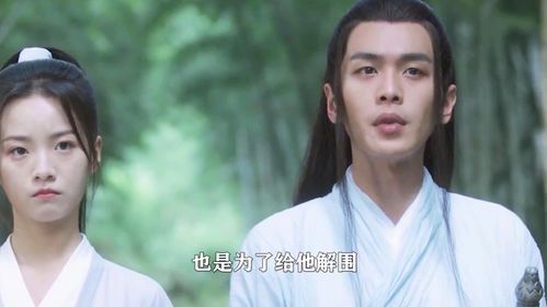 武道至尊：巅峰之路