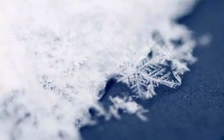 《大雪满弓刀:一首边塞诗的豪情与苍凉》