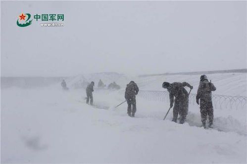 风雪夜归人