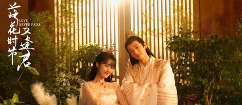 《落花时节又逢君》高清版:重逢背后的古风美学与情感张力