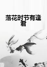 落花时节又逢君的数字之谜