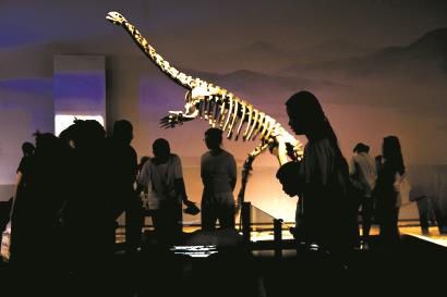 **探秘远古巨兽：中国恐龙大展震撼启幕**