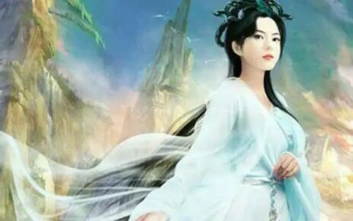 龙婿绝武医神的女性角色解析