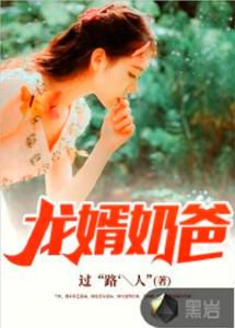 龙婿神医：绝世医圣的都市传奇