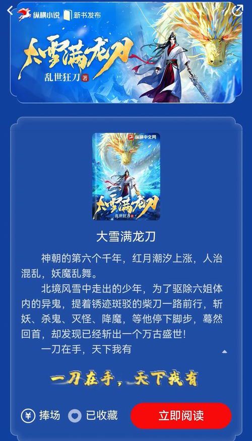 乱世狂刀新作《大雪满龙刀》震撼来袭