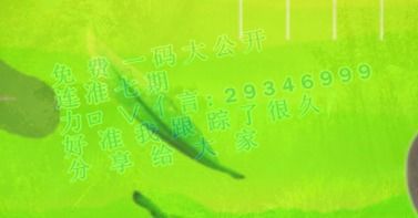 龙吟虎啸四时发，生肖之谜探究竟