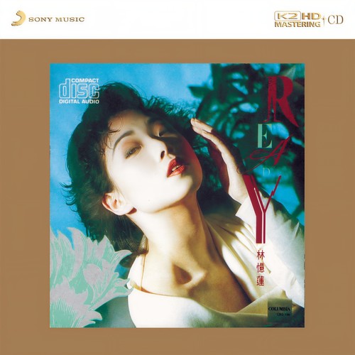 最佳男主角歌词-林忆莲