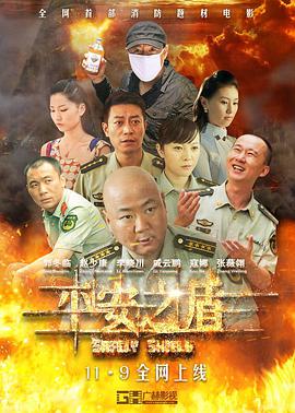 平安之盾电影HD国语版