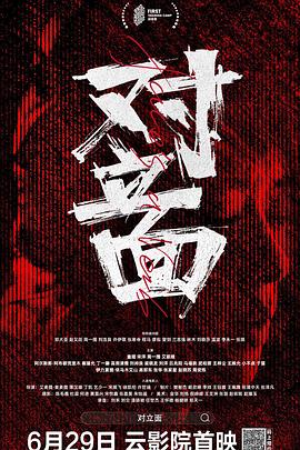 对立面电影HD国语版