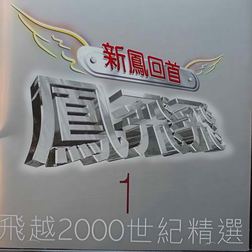 另一种乡悉歌词-凤飞飞