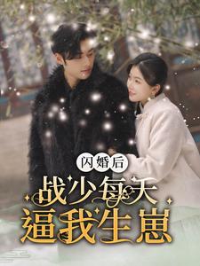 闪婚后战少每天逼我生崽短剧全91集