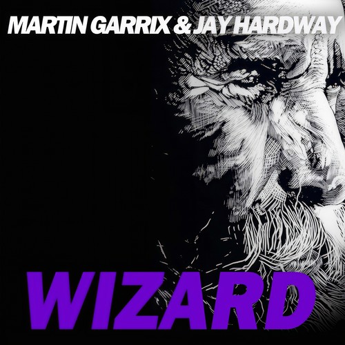 Wizard (Radio Edit)歌词-Martin Garrix / Jay Hardway