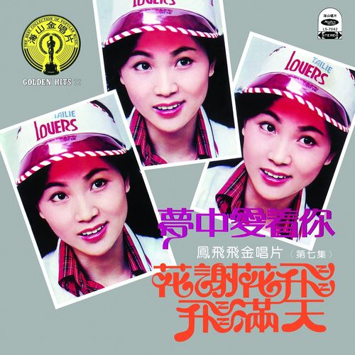 记得我歌词-凤飞飞