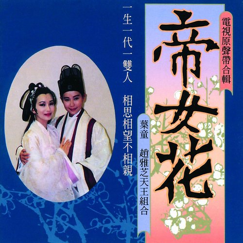 我愿跟随你歌词-左安安