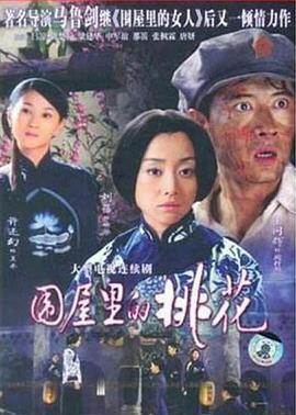 围屋里的桃花电视剧全23集