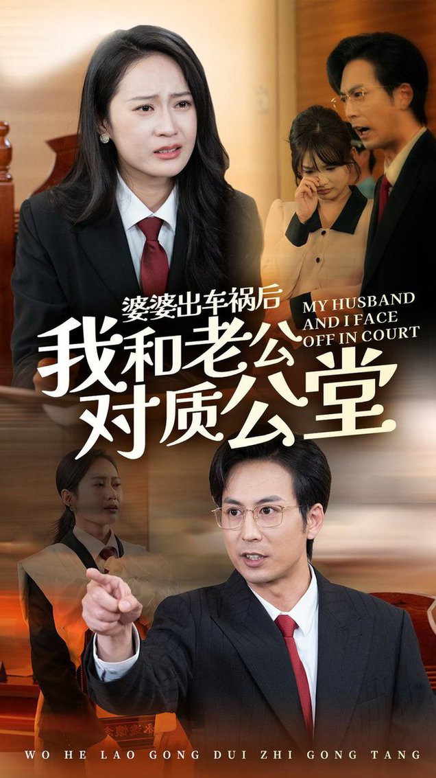 婆婆出车祸后我和老公对质公堂短剧全35集