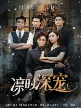 凛时深宠短剧全80集
