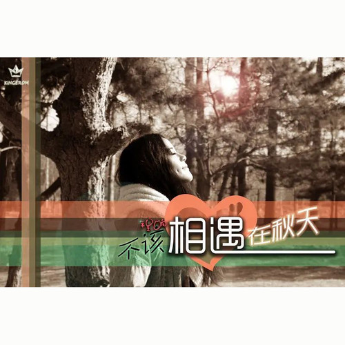 不该相遇在秋天 (伴奏)歌词-程响