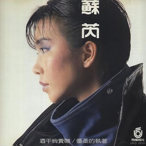 唱出你和我歌词-苏芮