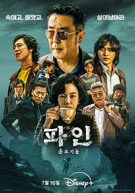 下流大盗电视剧共11集