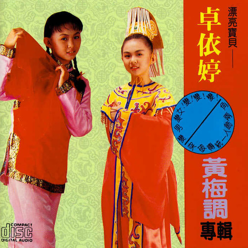 【黄梅戏】傻瓜与野丫头歌词-卓依婷
