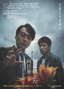 雨中消失的向日葵电视剧全5集