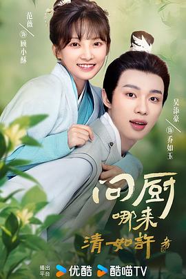 问厨哪来清如许电视剧全20集